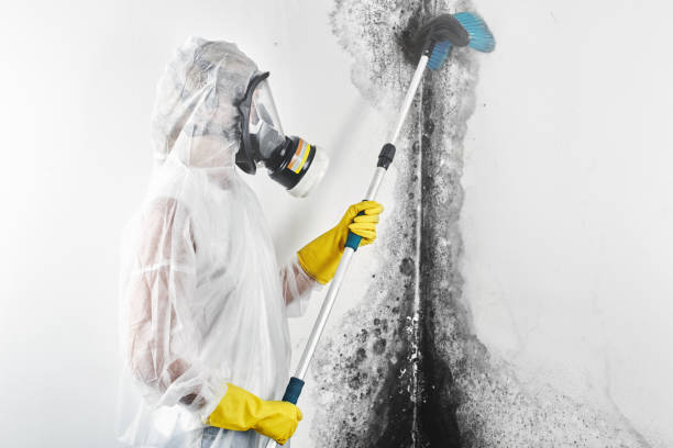 Best Commercial Mold Inspection  in Gresham, OR