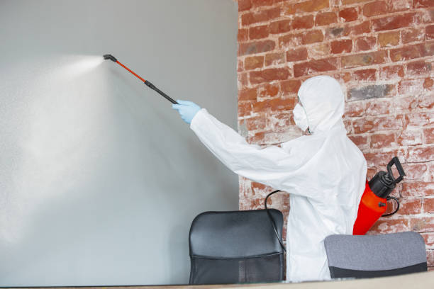 Best Air Quality Testing for Mold Spores  in Gresham, OR