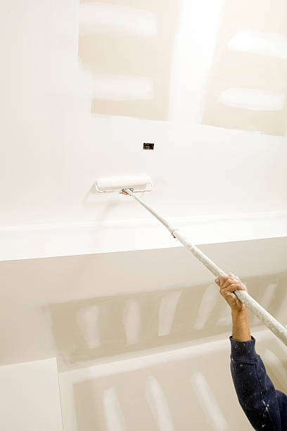 Best Basement Mold Removal  in Gresham, OR