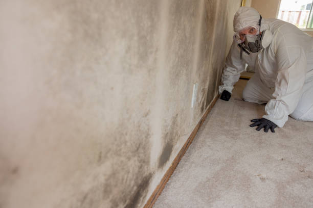 Best Real Estate Mold Inspection  in Gresham, OR